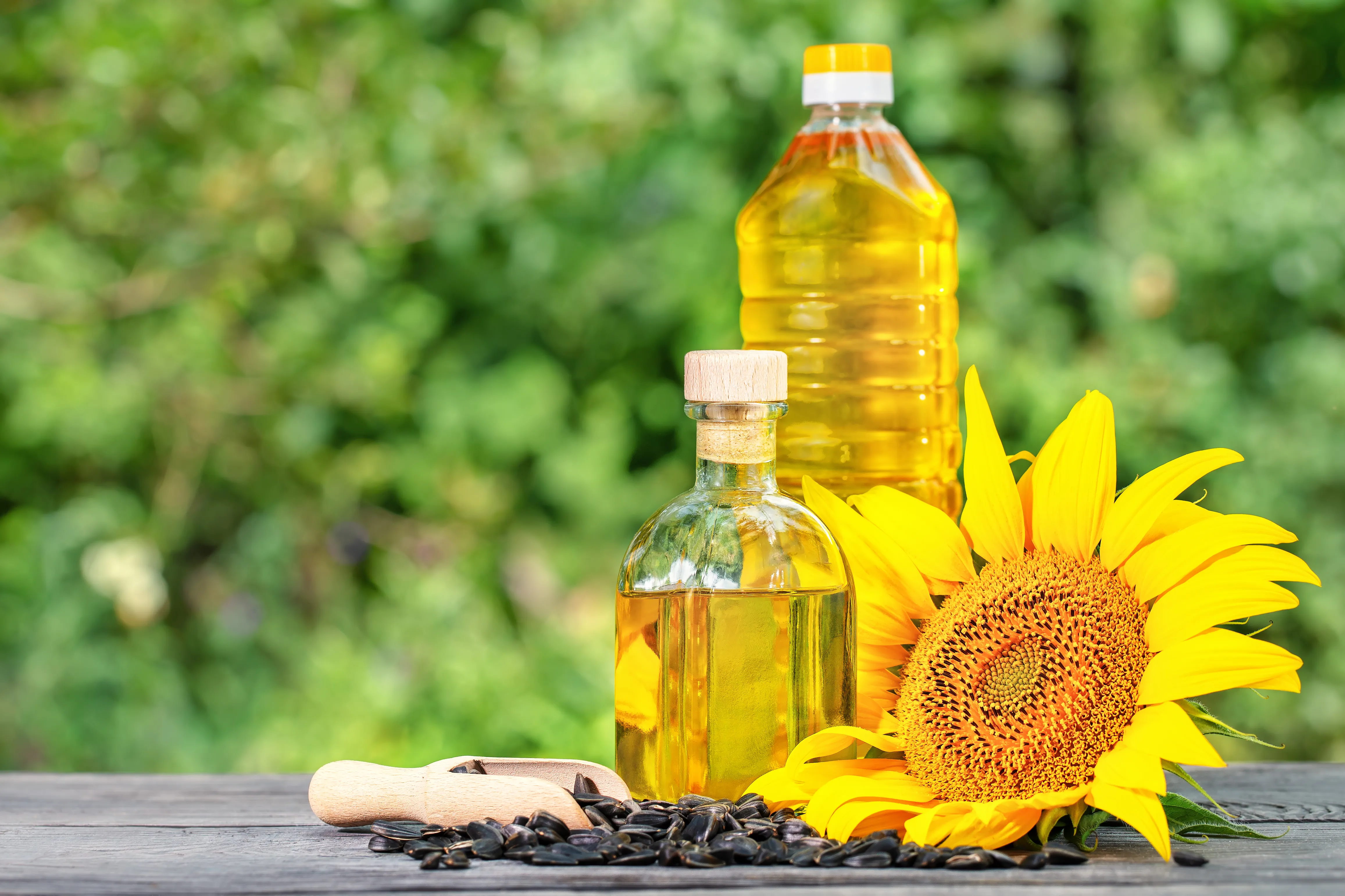 Refined Sunflower Oil